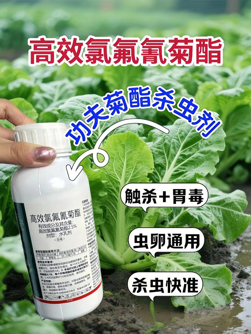 鹰潭代生中心:农药对供卵代生妈妈的危害